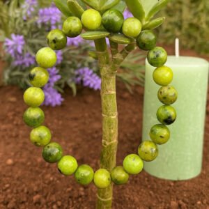 Serpentine 8mm Bead Bracelet – Renewal • Protection • Inner Mind-Body-Soul Harmony